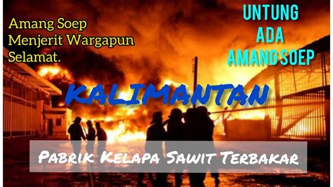 Minyak kelapa sawit dianggap sebagai tanaman penghasil minyak nabati tertinggi, dan menghasilkan lebih banyak minyak per hektarnya jika dibandingkan dengan tak hanya itu, minyak nabati lainnya juga memiliki sifat kimia yang berbeda dengan minyak sawit. Pabrik Minyak Kelapa Sawit Terbakar - YouTube