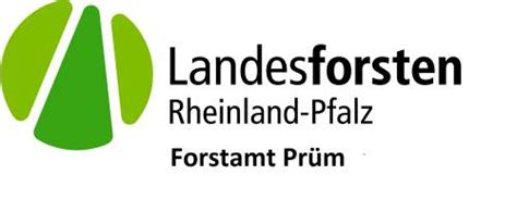 Landesforsten Rheinland Pfalz Forstamt Prüm Waldpfad Im Prümer