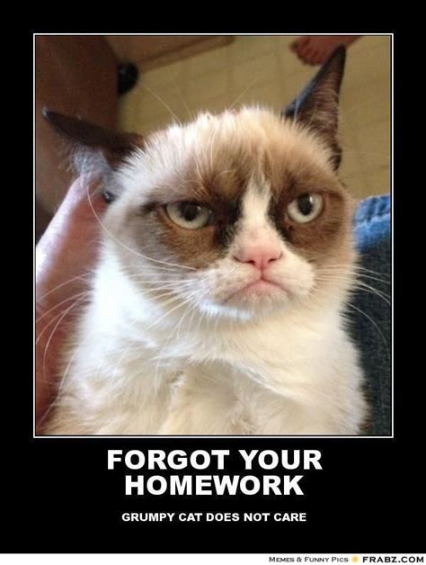 Kate Mazur Brue Forgot Your Homework Grumpy Cat Meme