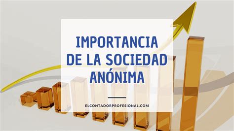 ᐈ Importancia De La Sociedad Anónima Contador Profesional