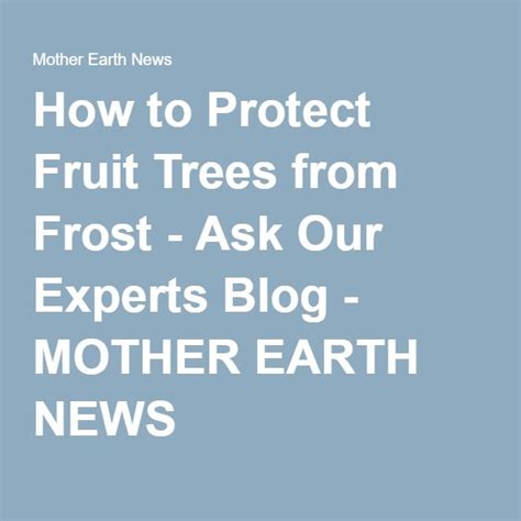To protect smaller trees, put stakes in the ground around the tree and drape it with a sheet, burlap, fruit tree frost blanket, plastic, or other cloth during the day before the freeze. How to Protect Fruit Trees from Frost | Mother earth news ...