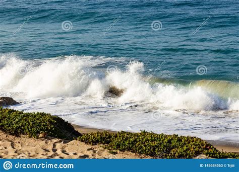 Splashing Wave On Backwash And Sandy Beach With Iceplant And Sand