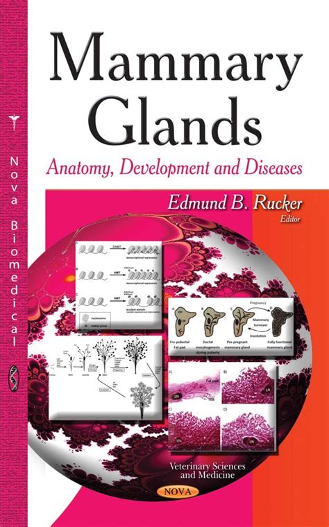 Mammary Glands Anatomy Development And Diseases Nova Science Publishers