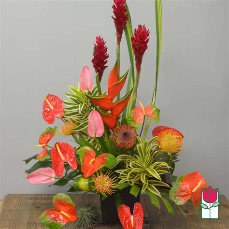 Beretanias Stunning Tropical Bouquet Tropical Varieties Vary In