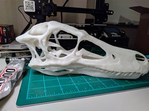 I 3d Printed A Life Size Velociraptor Skull Rdinosaurs