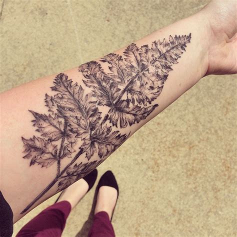The fern tattoo may look like a simple plant tattoo, but it can hold very important meanings to owners of these cool designs. Fern Leaf Tattoo | By Lane Turowski Milwaukee | Leaf ...