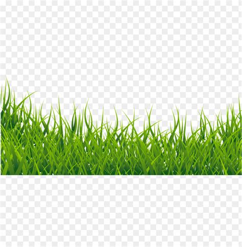 Download Grass Vector Png Images Background Toppng