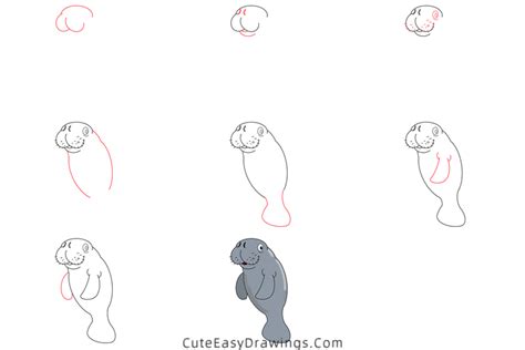 How To Draw A Manatee Step By Step Cute Easy Drawings