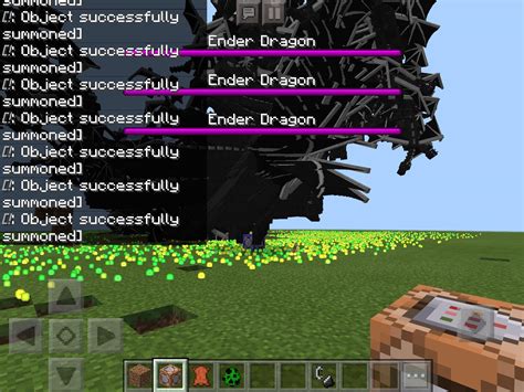 How To Summon Ender Dragon Command