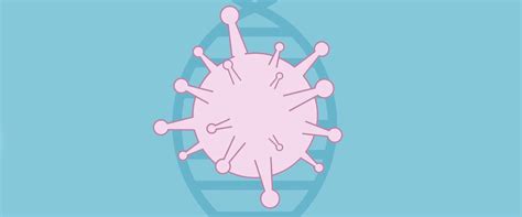 Las mejores ofertas online y de canarias. Cómo prevenir infecciones por virus respiratorios como el ...