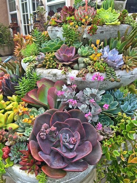 Cool Diy Crafts And Ideas With Succulents That Will Amaze You My