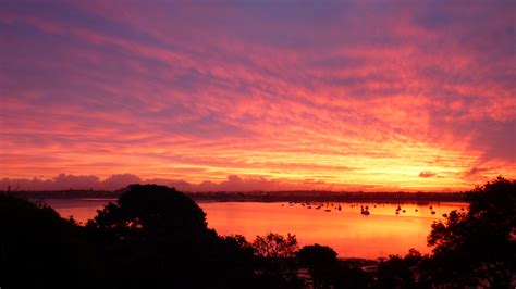 New Zealand Golden Sunset By Viberal On Deviantart