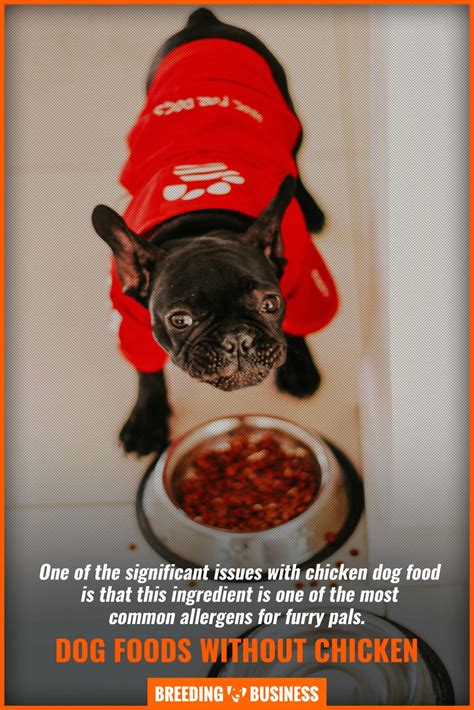 What's the best dog food without chicken? 10 Best Dog Foods Without Chicken for Allergic Dogs
