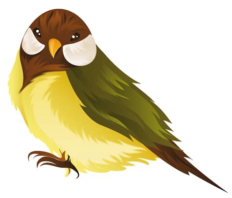 Птицы Png изображения скачать бесплатно птицы Png