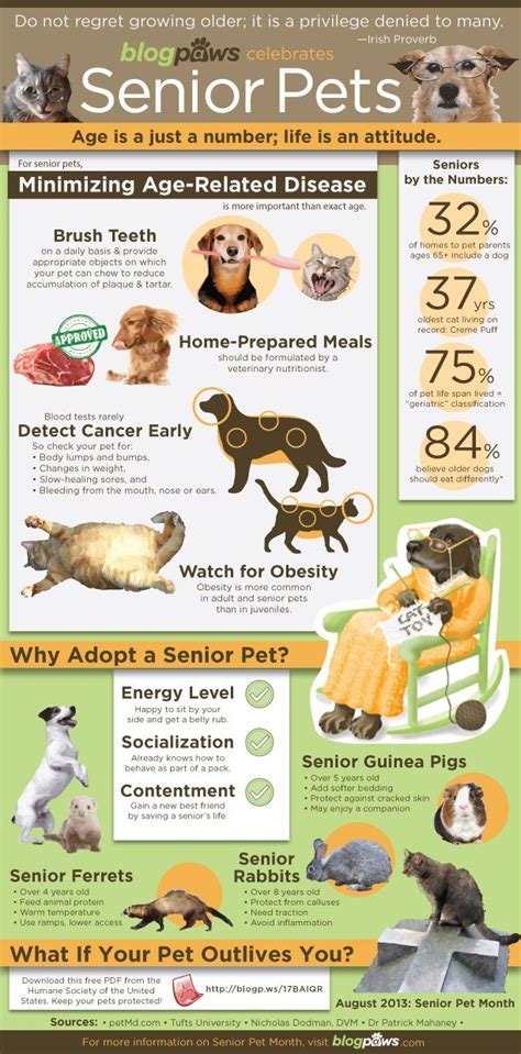 Senior Pets Infographic Ready For The Taking Animal Infographic Dog