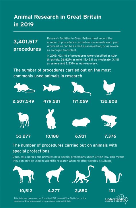 Animal Research Statistics For Great Britain 2019 Understanding
