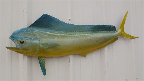 Mahi Half Sided Fish Mount Replica Affordable Coastal Decor Indoors