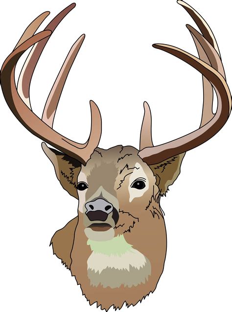 Cartoon Deer Head Clipart Best
