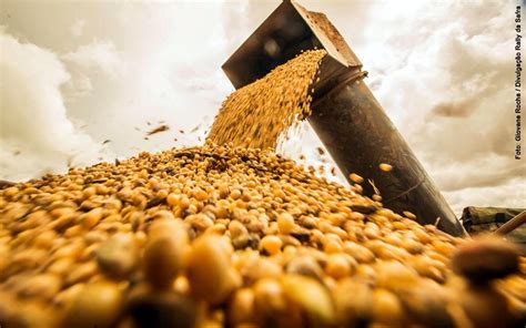 Brazil Expects A Record Soybean Harvest Of 130 Million Tons — Mercopress