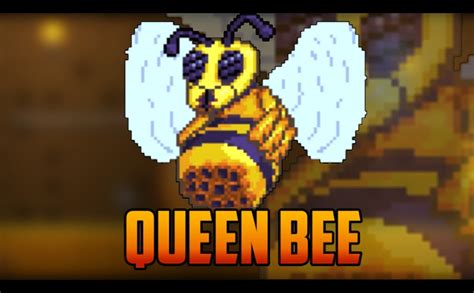 Terraria Queen Bee Boss Fight Youtube