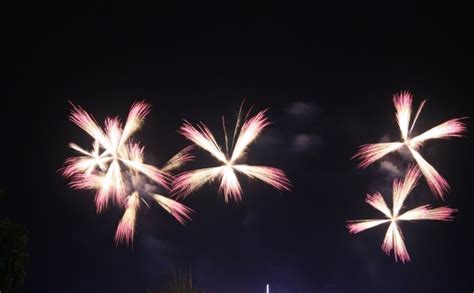 Flower Fireworks Photos In  Format Free And Easy Download Id209562