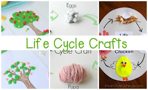 Must-Try Life Cycle Activities for Kids | Life cycles activities, Life cycles, Activities for kids
