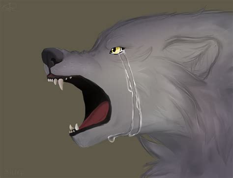 Sad Wolf By Akinal78 On Deviantart
