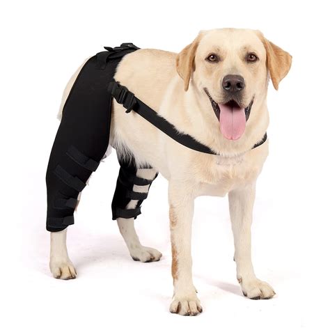 Buy Zunea 1pair Dog Leg Brace For Hind Leg Acl Ccl Tear Back Legs Wound