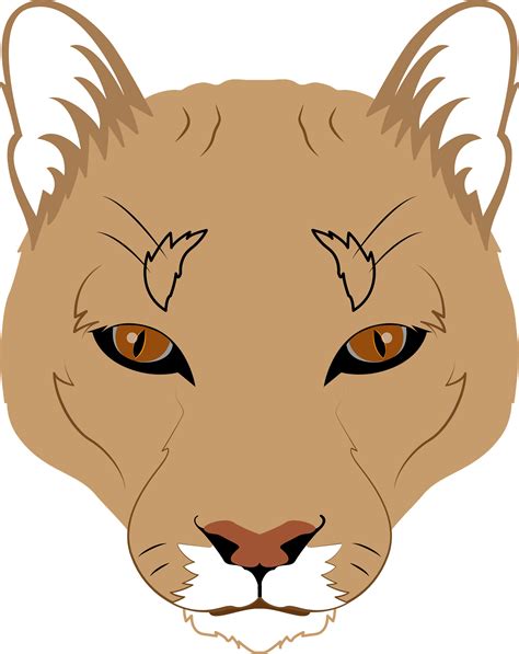 Free Cougar Face Cliparts Download Free Cougar Face Cliparts Png