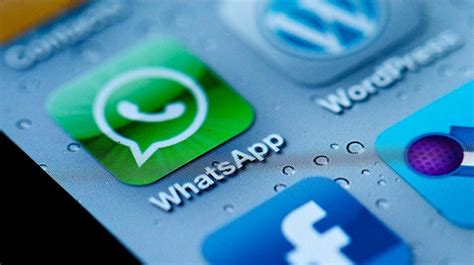 Whatsapp Pronto Tendrá Videollamadas Pasionmovil
