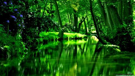 Green River Wallpapers Top Free Green River Backgrounds Wallpaperaccess