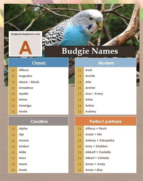 Unique Bird Names Random Business Name