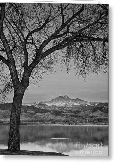 Peaceful Early Morning Sunrise Longs Peak View Bw Photograph By James