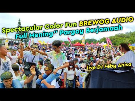 Full Keseruan BREWOG Audio Colorfun Bersama DJ Feby Anisa Live Gunung