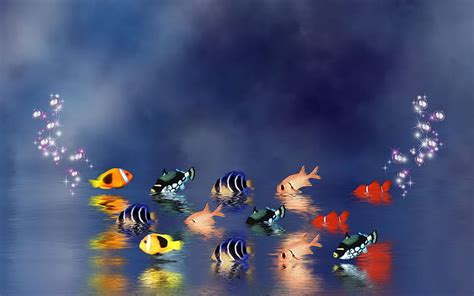 Fishes In 3d Colorful 3d Fishes Water Reflections Hd Wallpaper