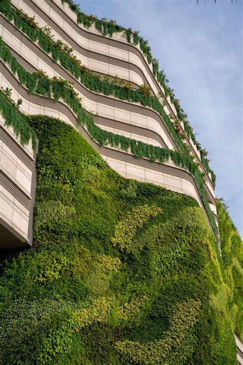 Biophilic Cities Improving Urban Environments With Greenery • Anooi