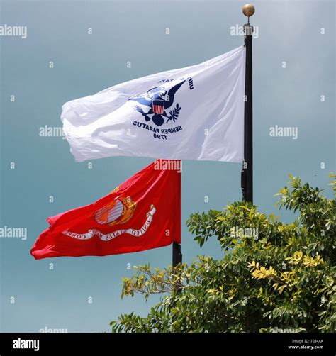 United States Coast Guard And United States Marine Corps Flags Waving