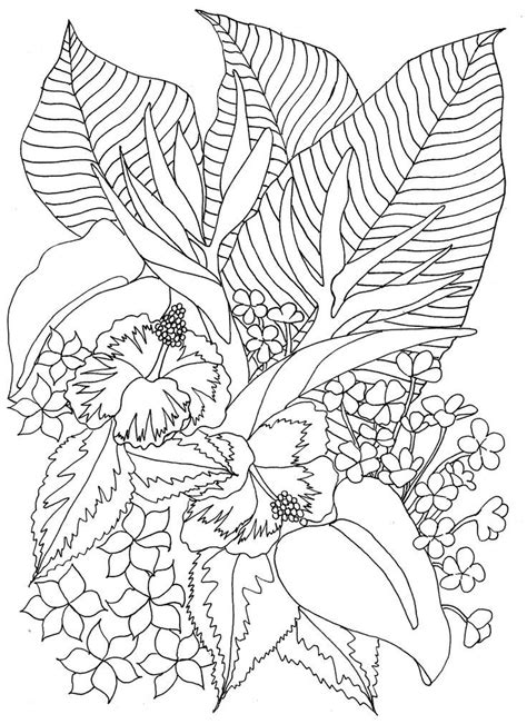 Coloring Pages Tropical - Coloring Home