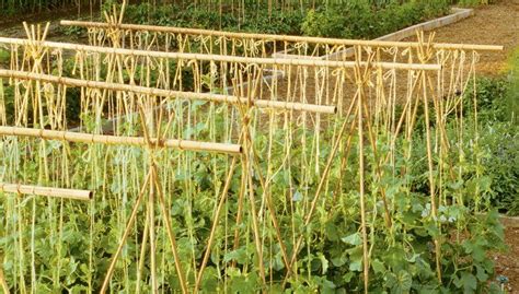 Make Japanese Bamboo Fences And Trellises Gardeners Supply In 2022
