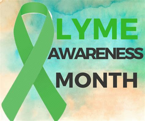 Lyme Disease Awareness Month Natures Guardian