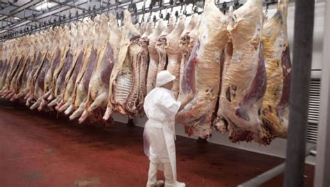 importancia de las bpm en la producción de carne segura