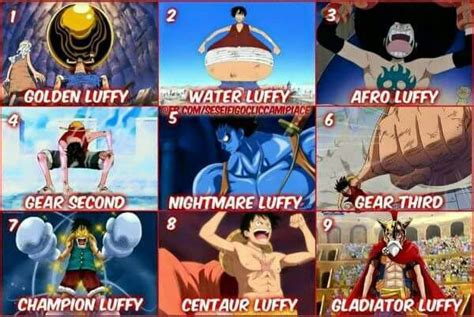 Luffy Forms One Piece Amino