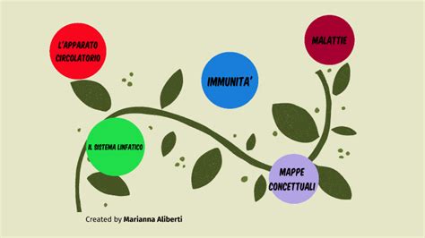 L Apparato Circolatorio E Il Sistema Linfatico By Marianna Aliberti