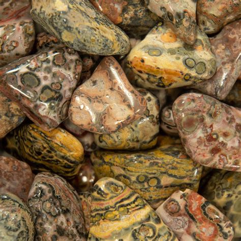 Leopard Skin Jasper Tumbled Stones 34″ — Mexico Garys Gem Garden
