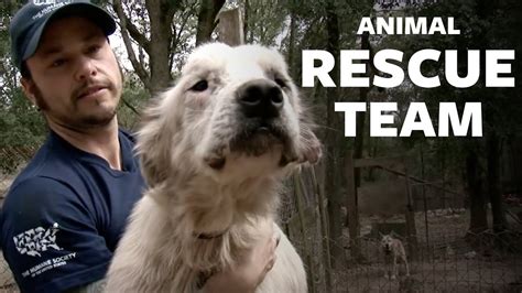 Here's how to start an animal rights group and in five easy steps. HSUS: Animal Rescue Team - YouTube