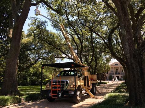 Aka tree removal has been providing professional tree services to the atlanta area for nearly 20 years. Commercial Tree Service | Tree Experts in Georgia | Tree ...