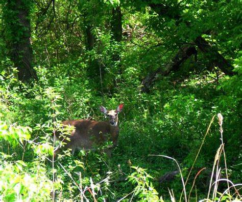 Great Plains Nature Center Wichita 2021 All You Need To Know Before