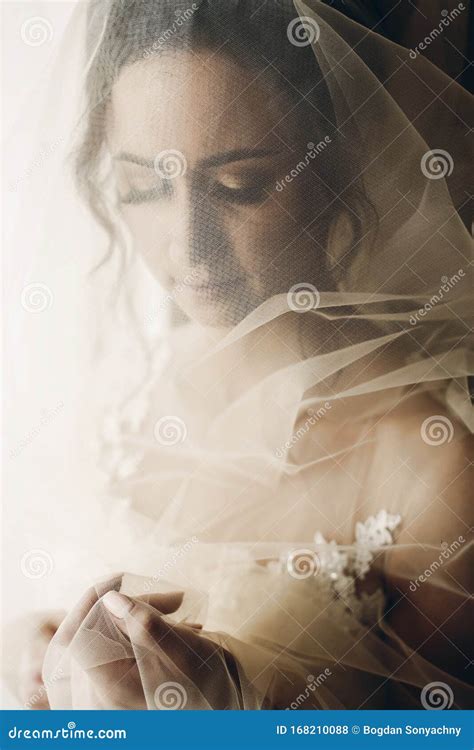 Gorgeous Brunette Bride Under Veil Posing Near Window Portrait Of