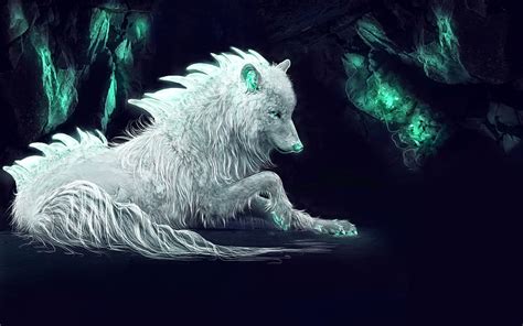 2024 White Wolf Predators Cave Art Wolf Hd Wallpaper 800x500 325751
