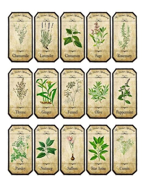 Pin By Carrie Jessie Macy On Print Herb Labels Jar Labels Stickers